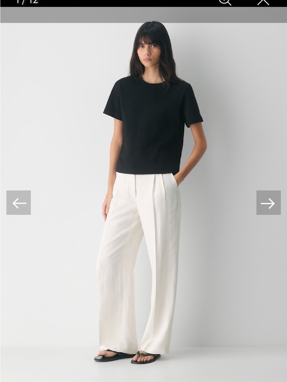 Aritzia Wide Leg Pleated Trousers in White